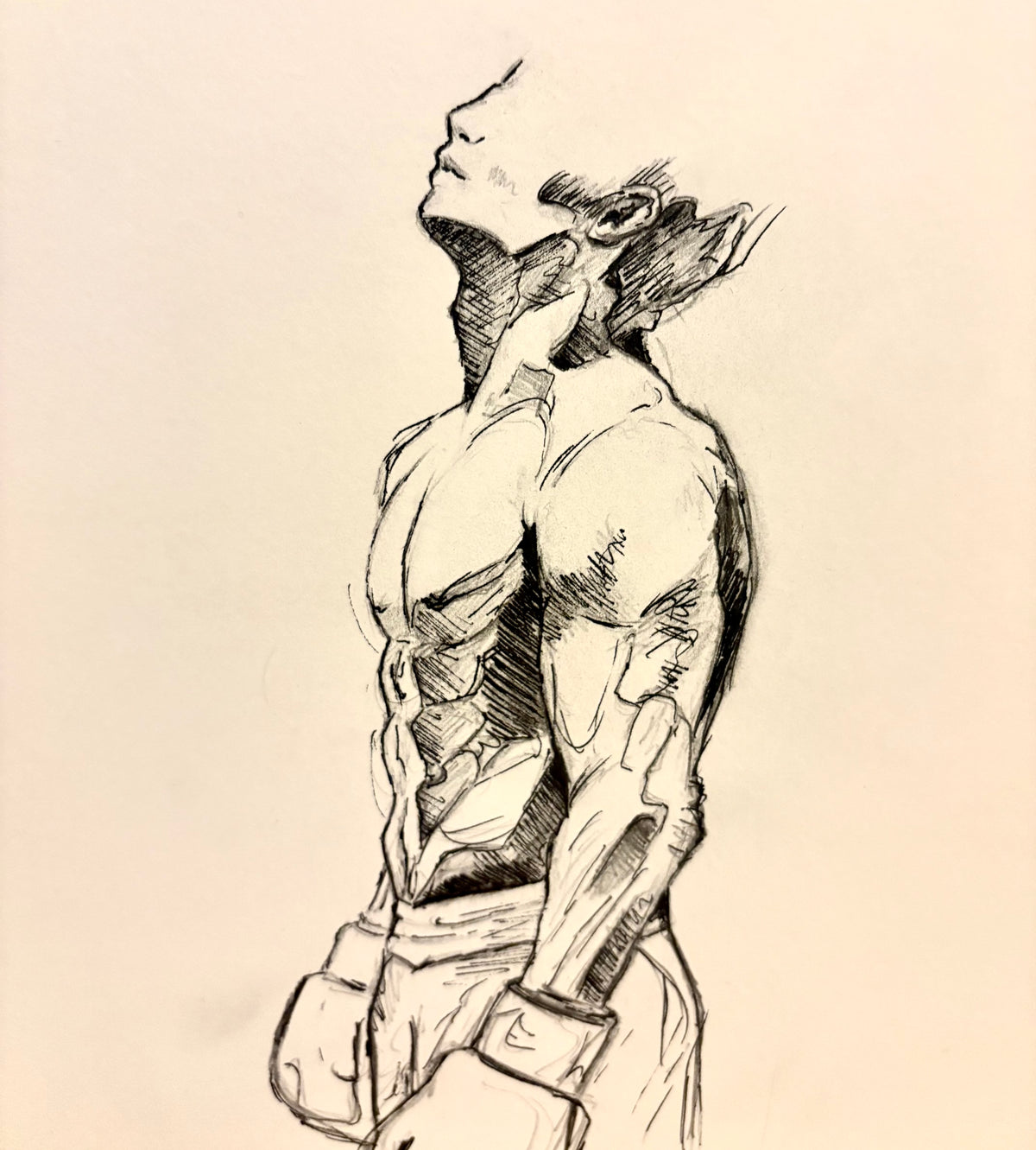 Boxer