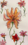 Lillies
